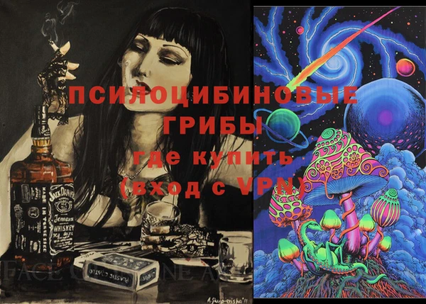 молекула духа Богданович