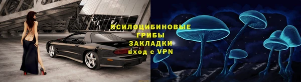 хмурый Богородск