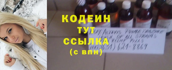 молекула духа Богданович