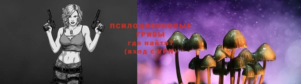 спиды Белокуриха