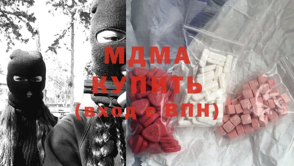 молекула духа Богданович