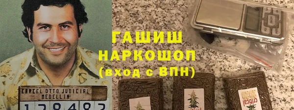 молекула духа Богданович