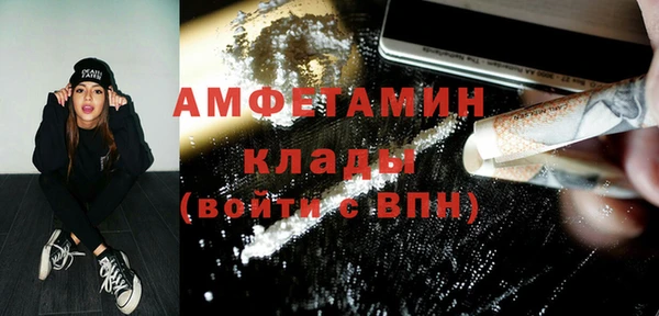 молекула духа Богданович