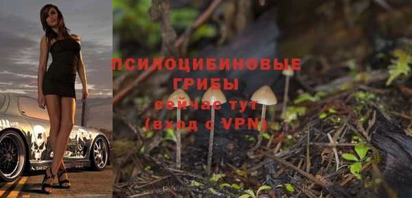 хмурый Богородск
