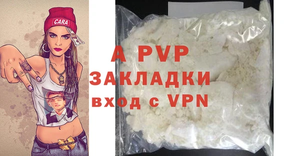 молекула духа Богданович